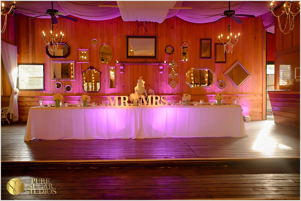 Pure Sugar Studios_ Lori Parker_ DJ Jacob Towe_Laytn's Land _N_makeup by Paulina Perez_Davids Bridal_Metro Custom cakes_ Davoli Catering_save the date weddings__0048.jpg