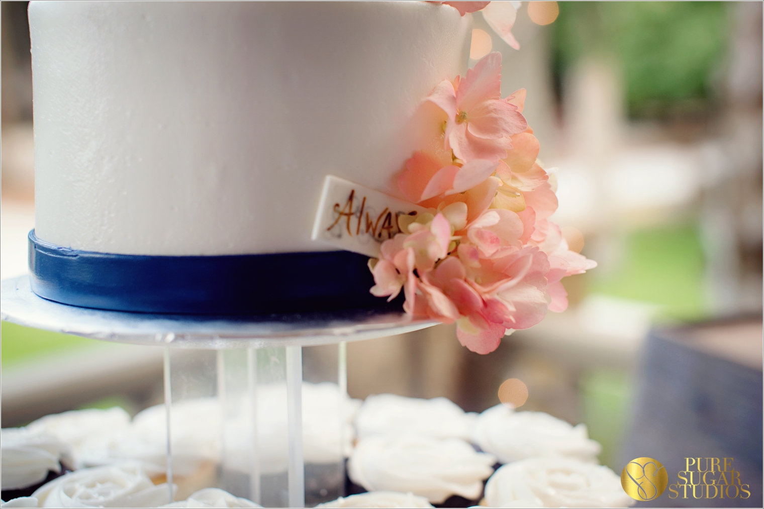 Pure Sugar Studios_St augustine wedding Photography_fountain of youth__0349.jpg