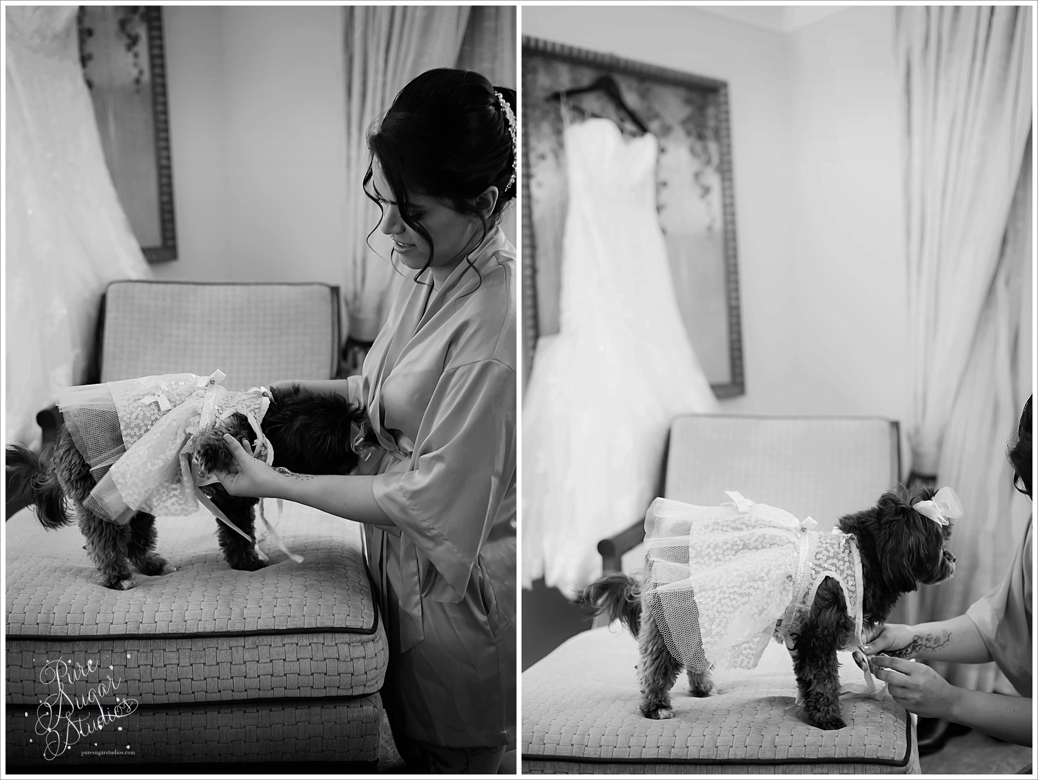 Getting Ready, Pure Sugar Studios_Once Ocean _weddings_2591.jpg
