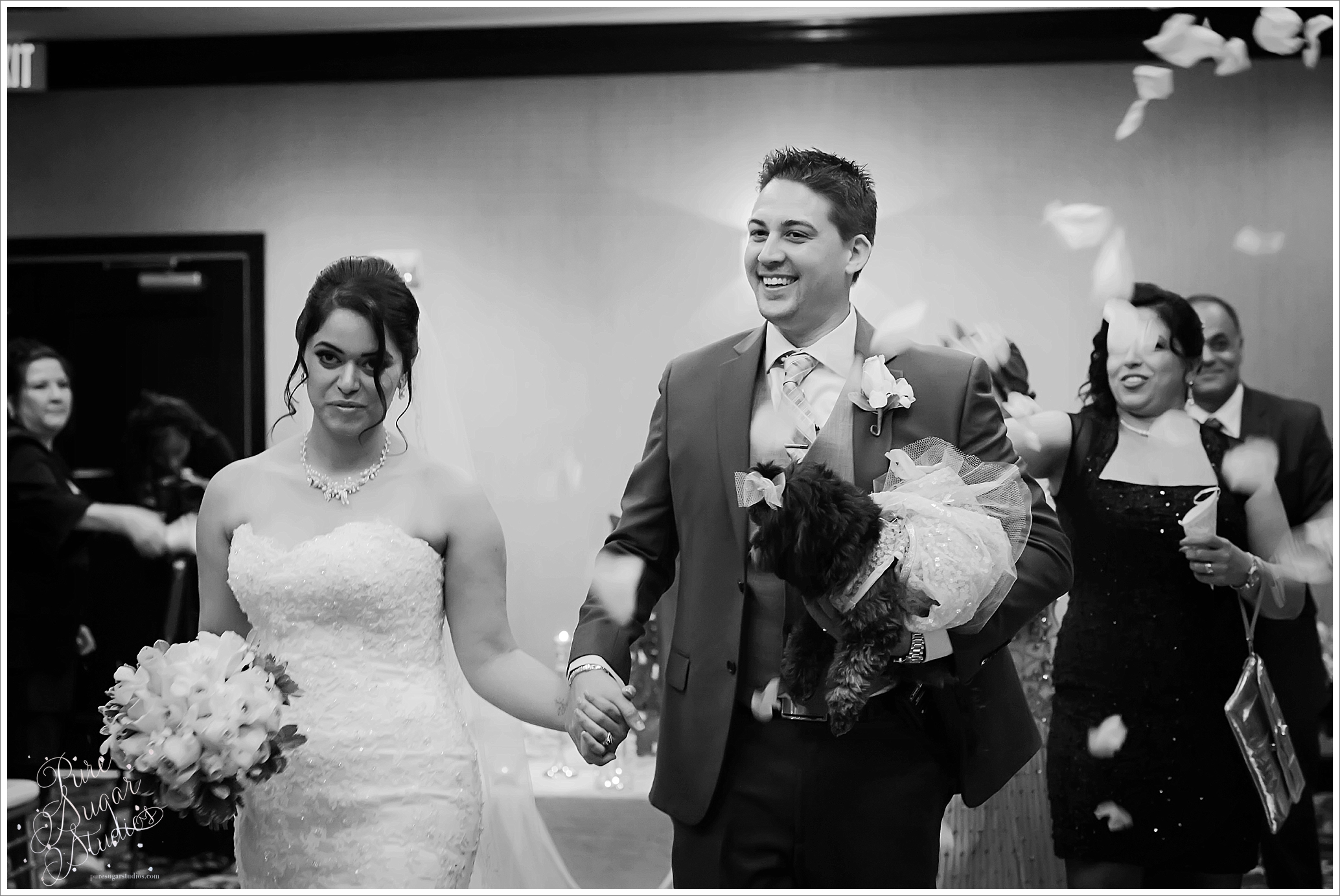 Ceremony, Pure Sugar Studios_Once Ocean _weddings_2612.jpg